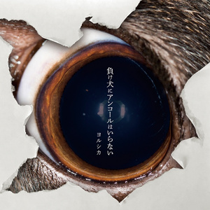 特级大黄AAAAAA片同性恋
