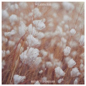 特级大黄AAAAAA片同性恋
